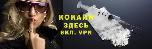 прущие грибы Богданович
